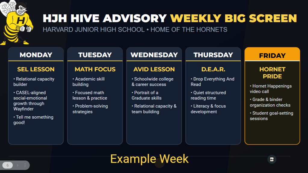 hive