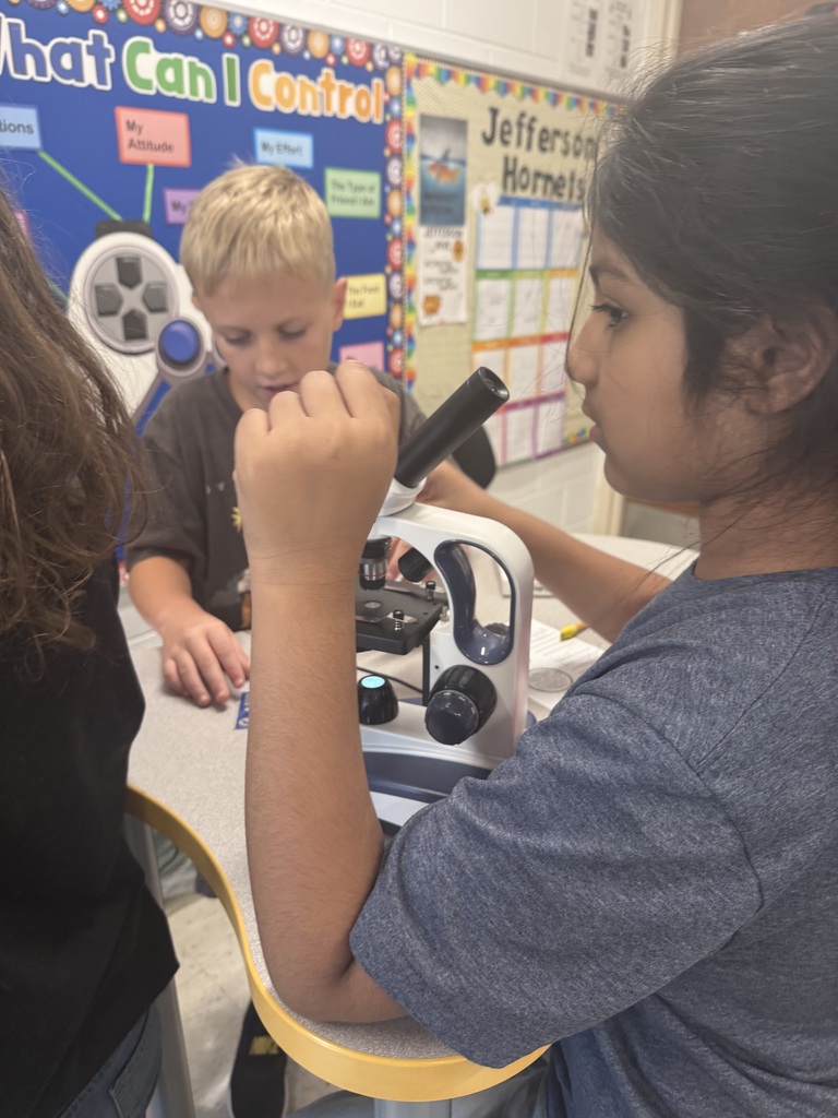 microscopes in stem