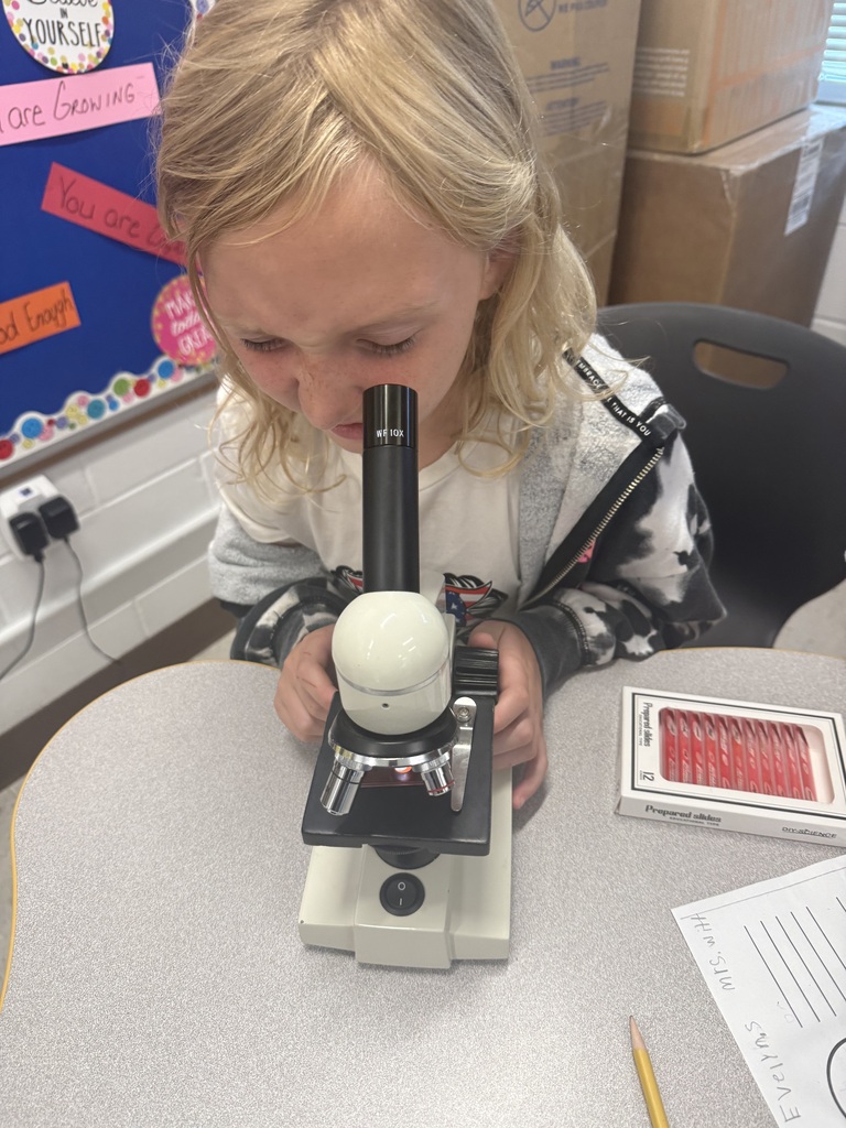 microscopes in stem