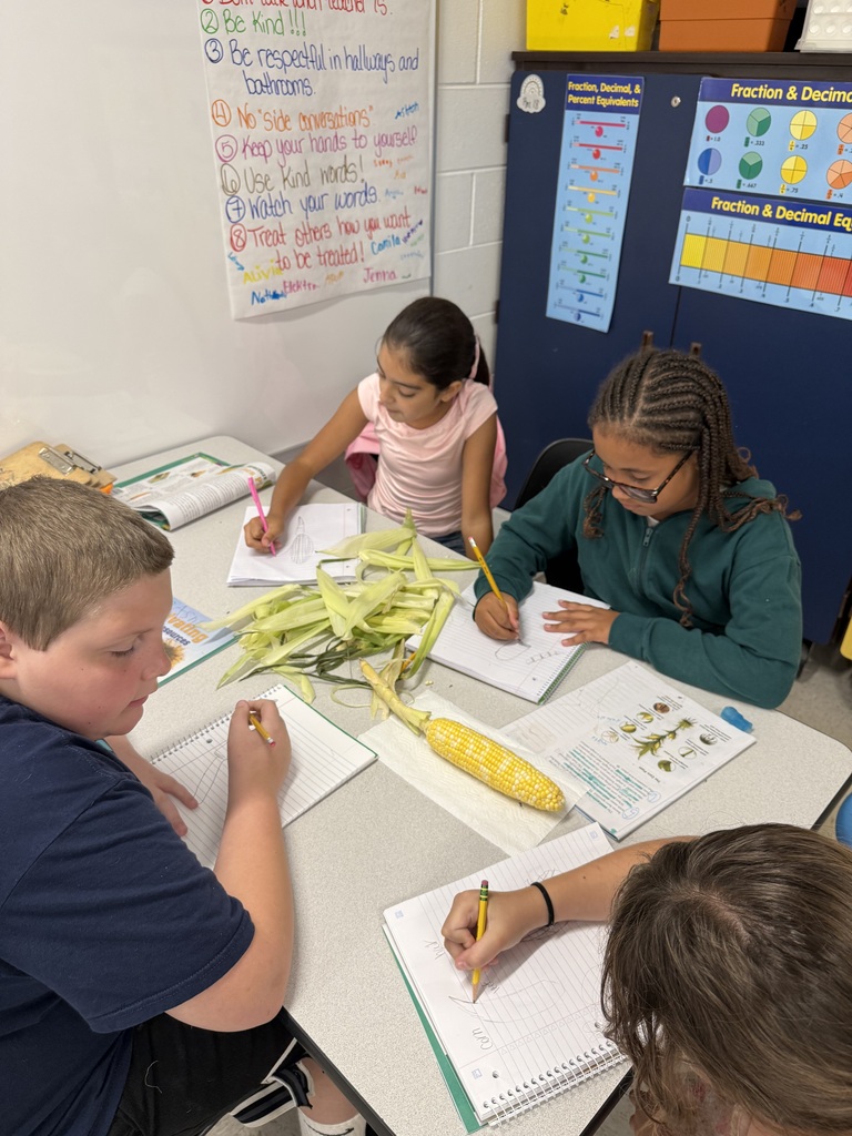dissecting corn