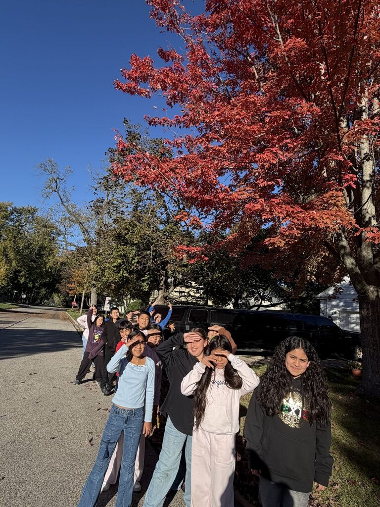 fall neighborhood stroll