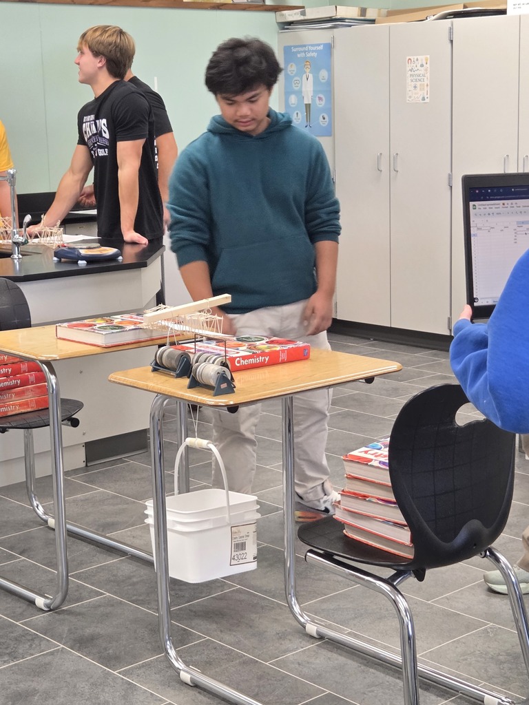 Hayden observing his bridge