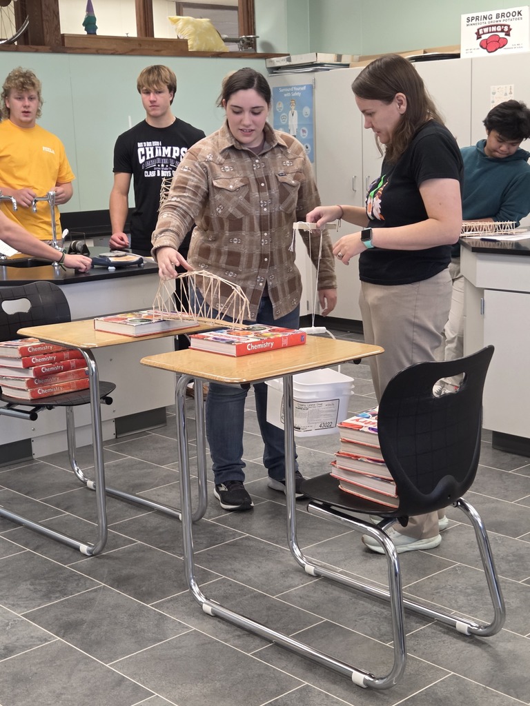 Shiane setting bridge