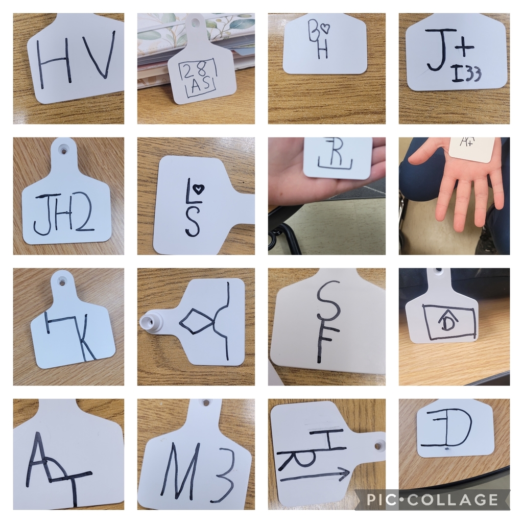 Collage of students individual brand designs