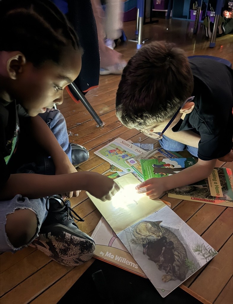 Mrs. Siconolfi's first grade class