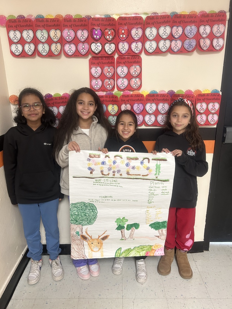 Mrs. Salerno's 3rd Grade class