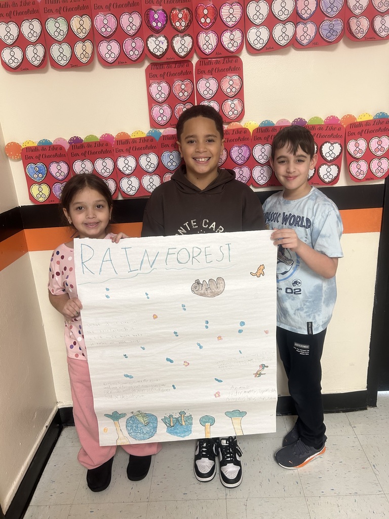 Mrs. Salerno's 3rd Grade class