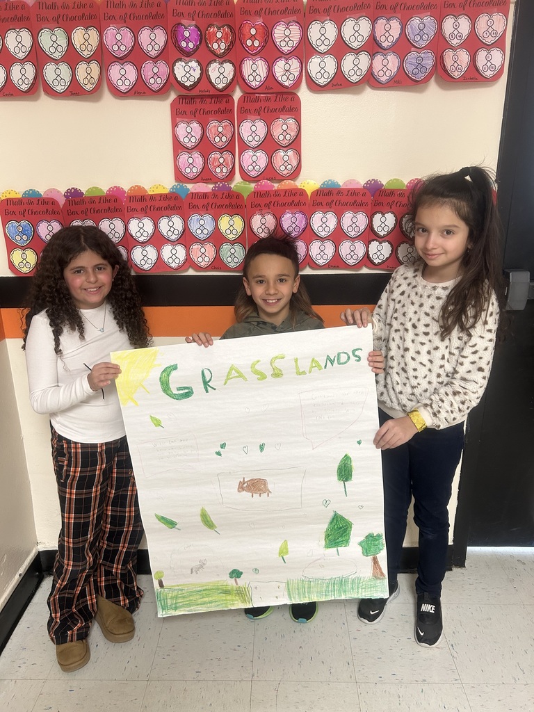 Mrs. Salerno's 3rd Grade class