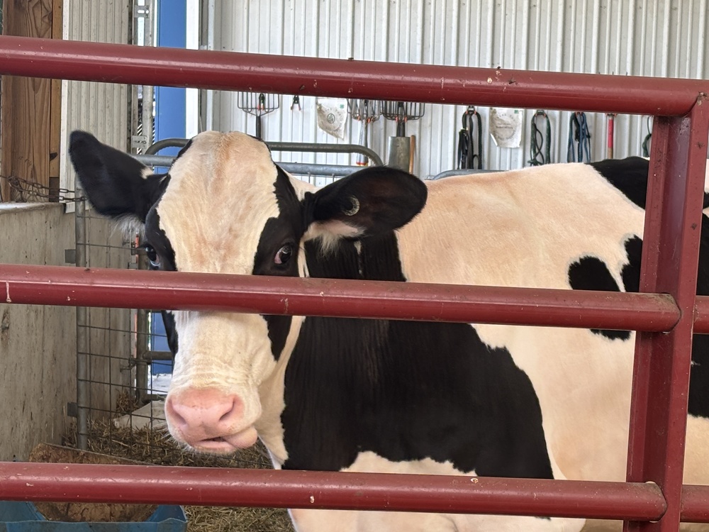 Hastings High School ag barn