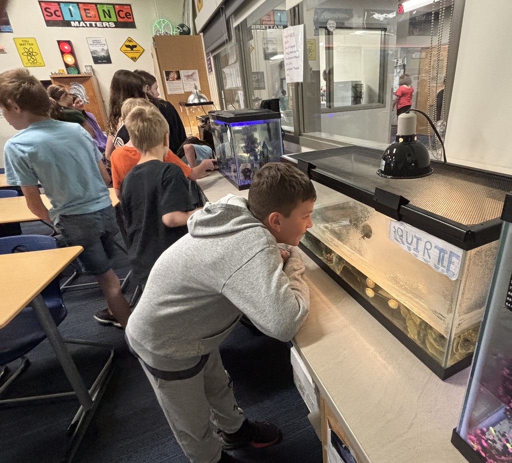 Fifth graders visit Hastings Middle School