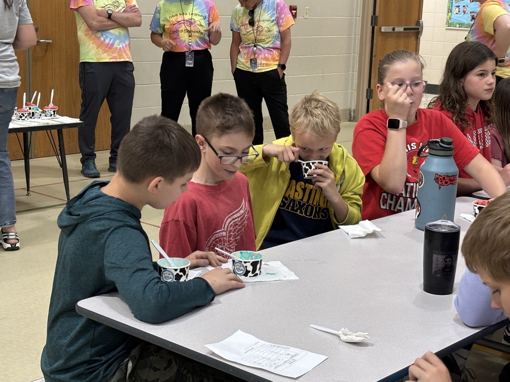 Central Elementary field day