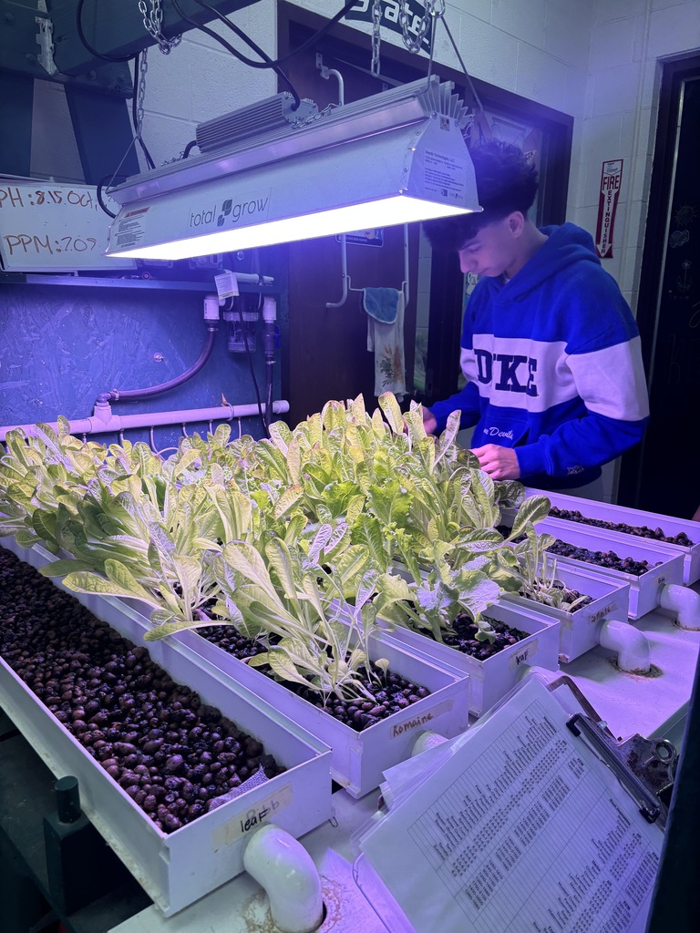 A student standing near a hydroponic station where he is growing lettuce.