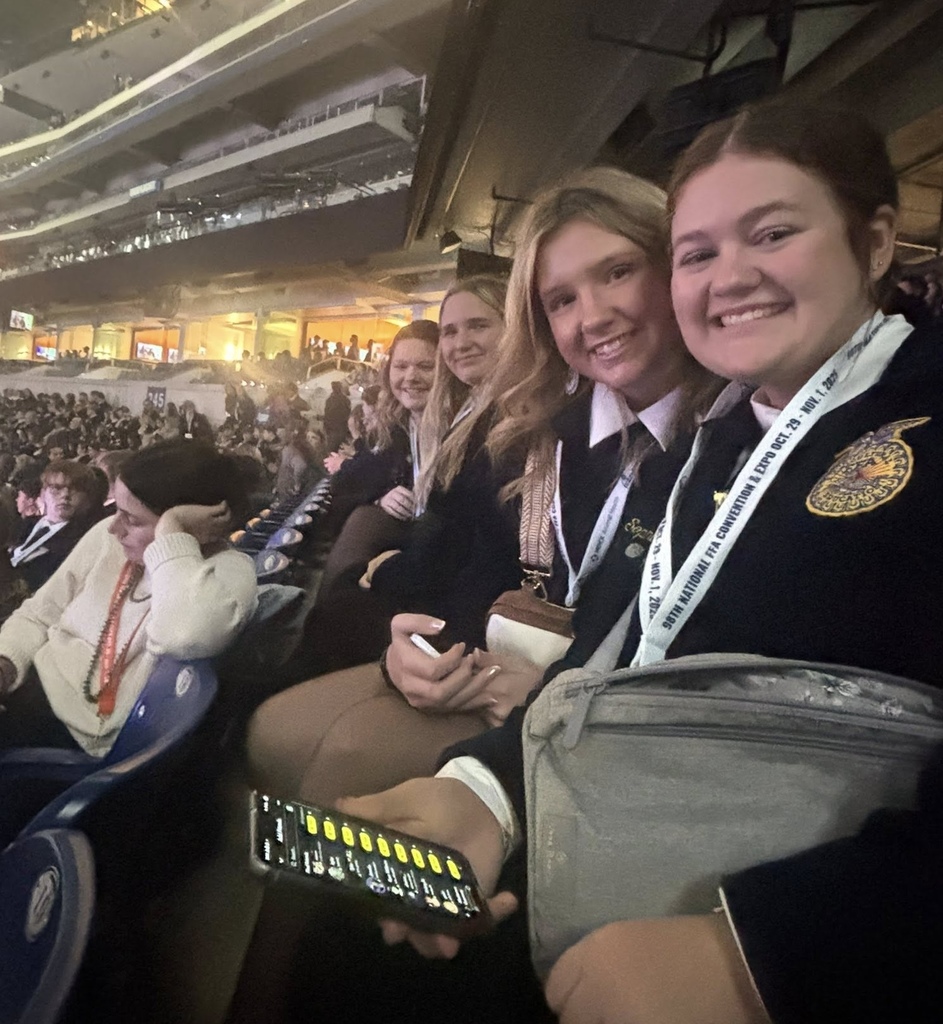 Hastings High School students seated in Lucas Oil Stadium posing and smiling.