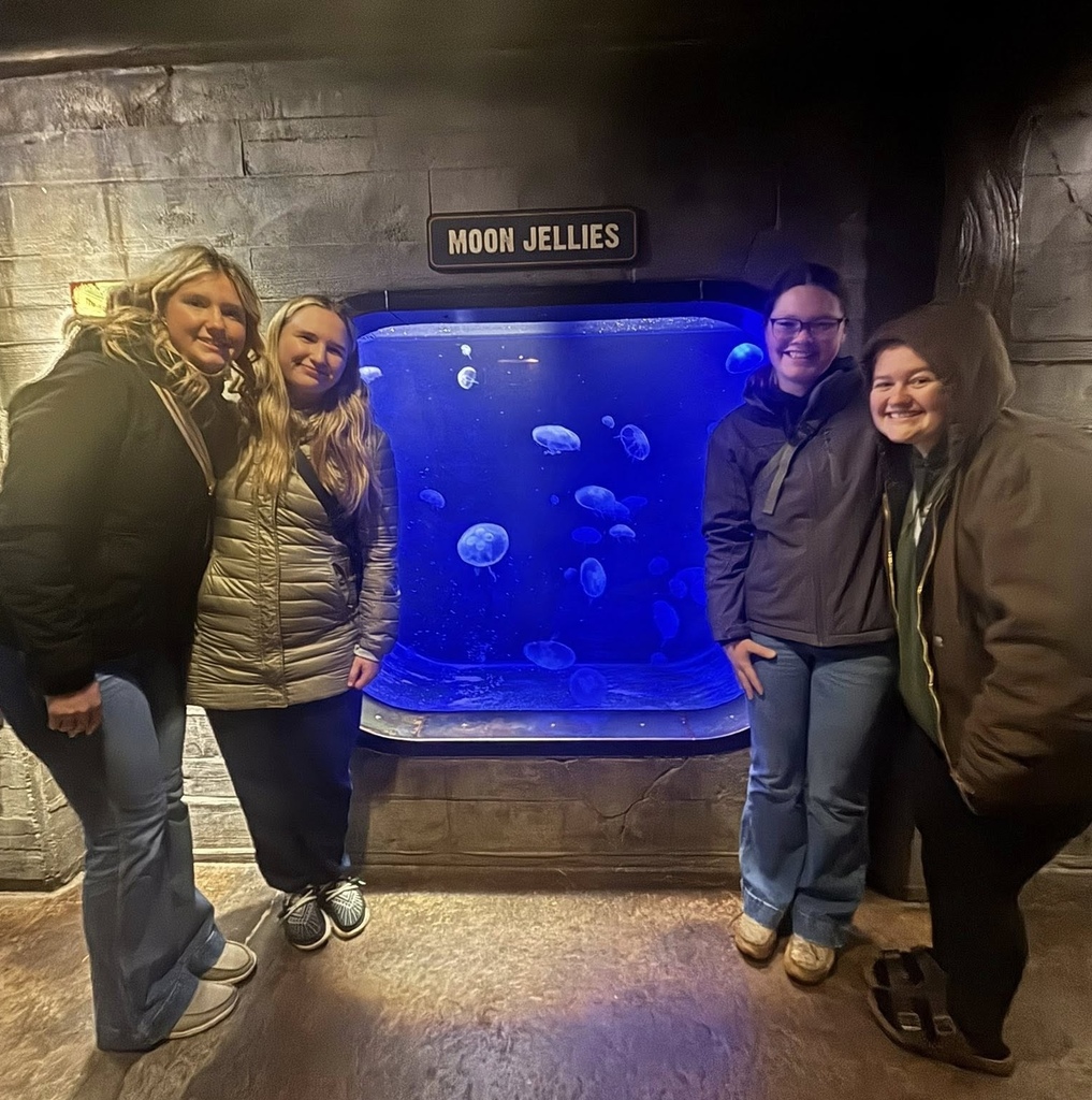 Students standing in front of a fish tank labeled "Moon Jellies"
