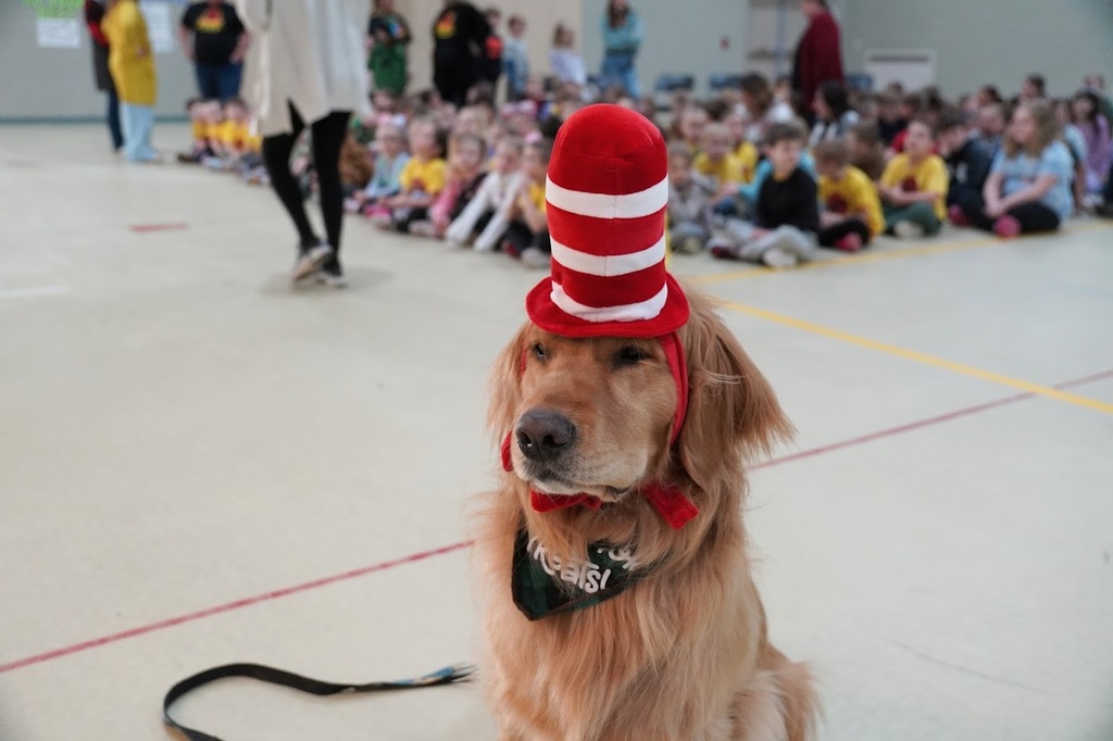 646860437_1495516162578184_4919774933396765127_n