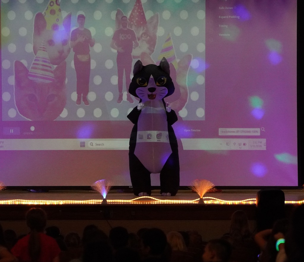 Hasting Central's glow party and masked dancer party.