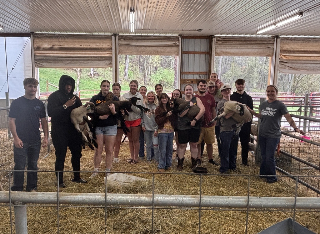 hastings high school lambing process