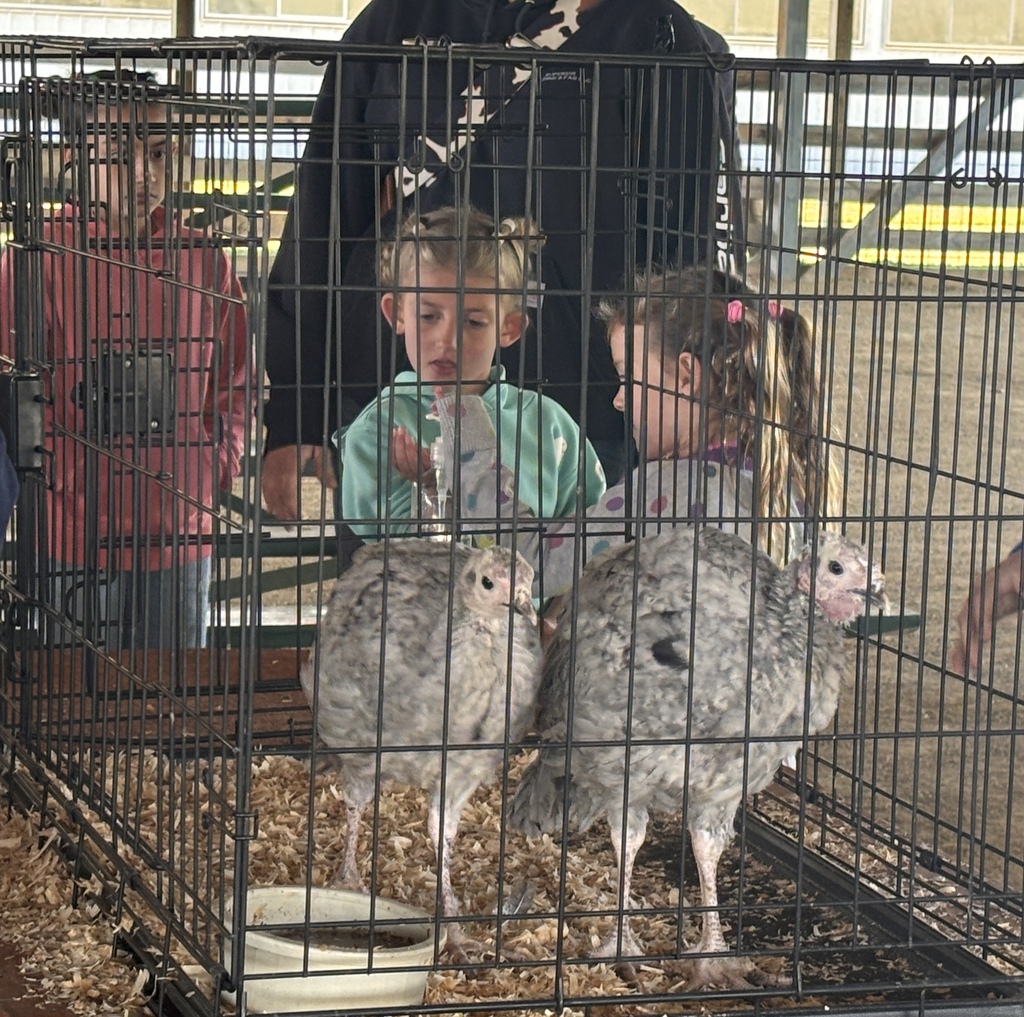Hastings students  at ag day