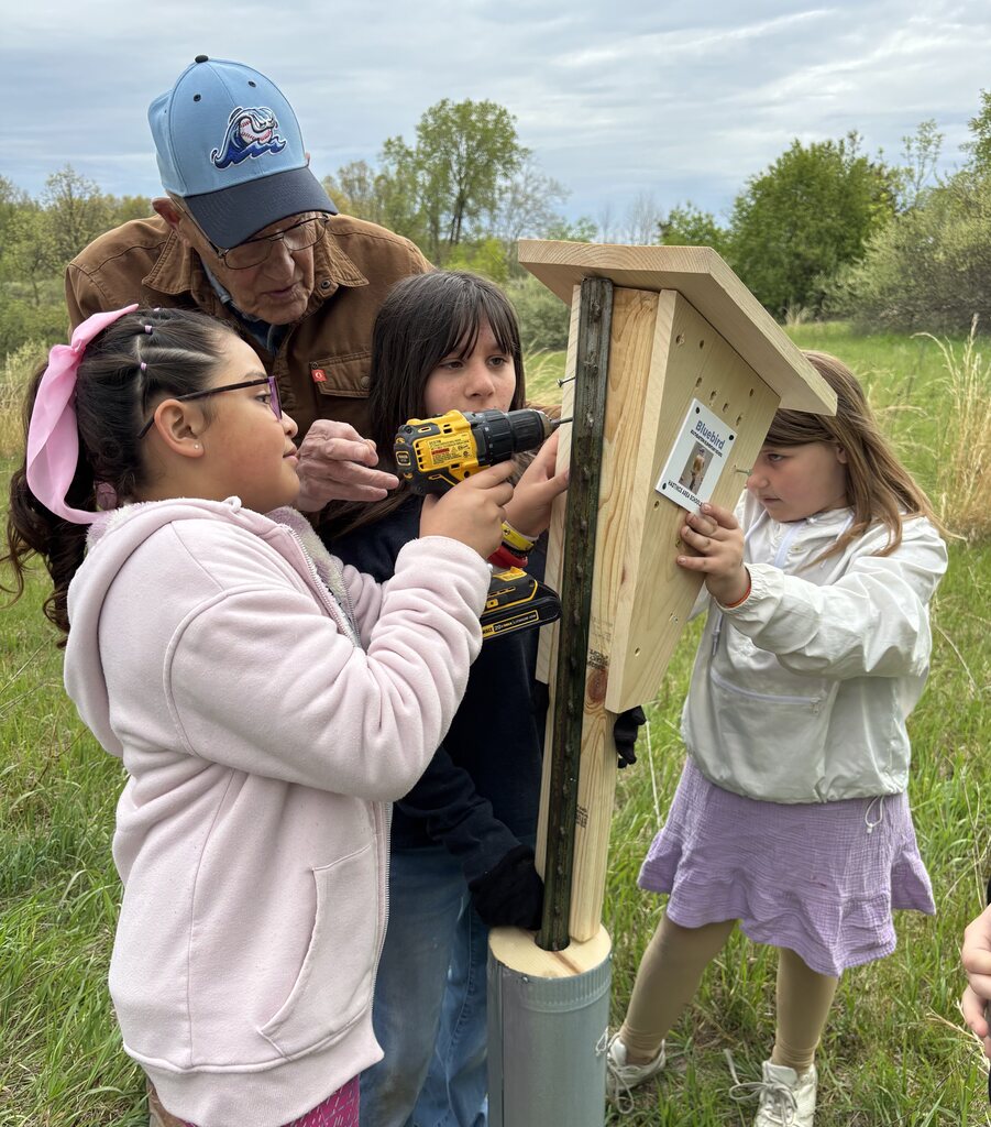 A group of kids setting up birdhouses under the watch of an elder individual