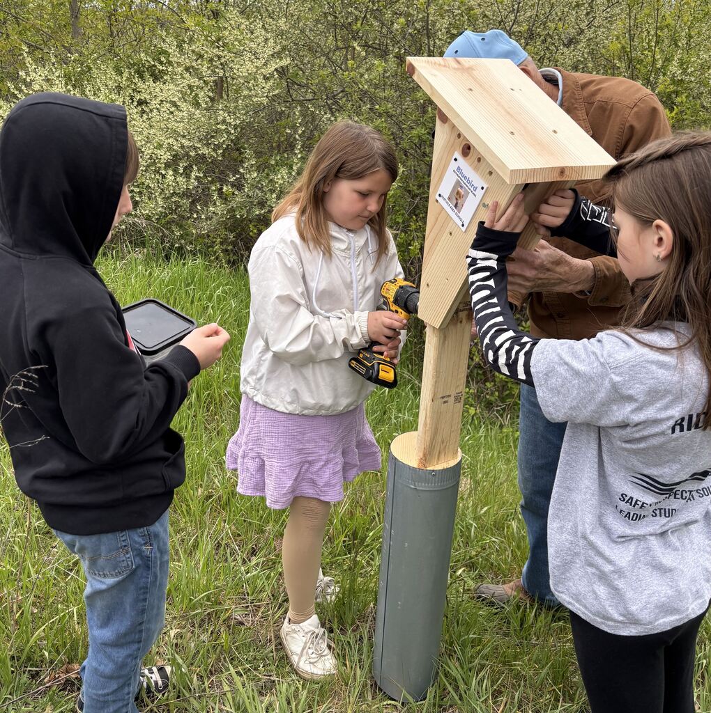A group of kids setting up birdhouses under the watch of an elder individual
