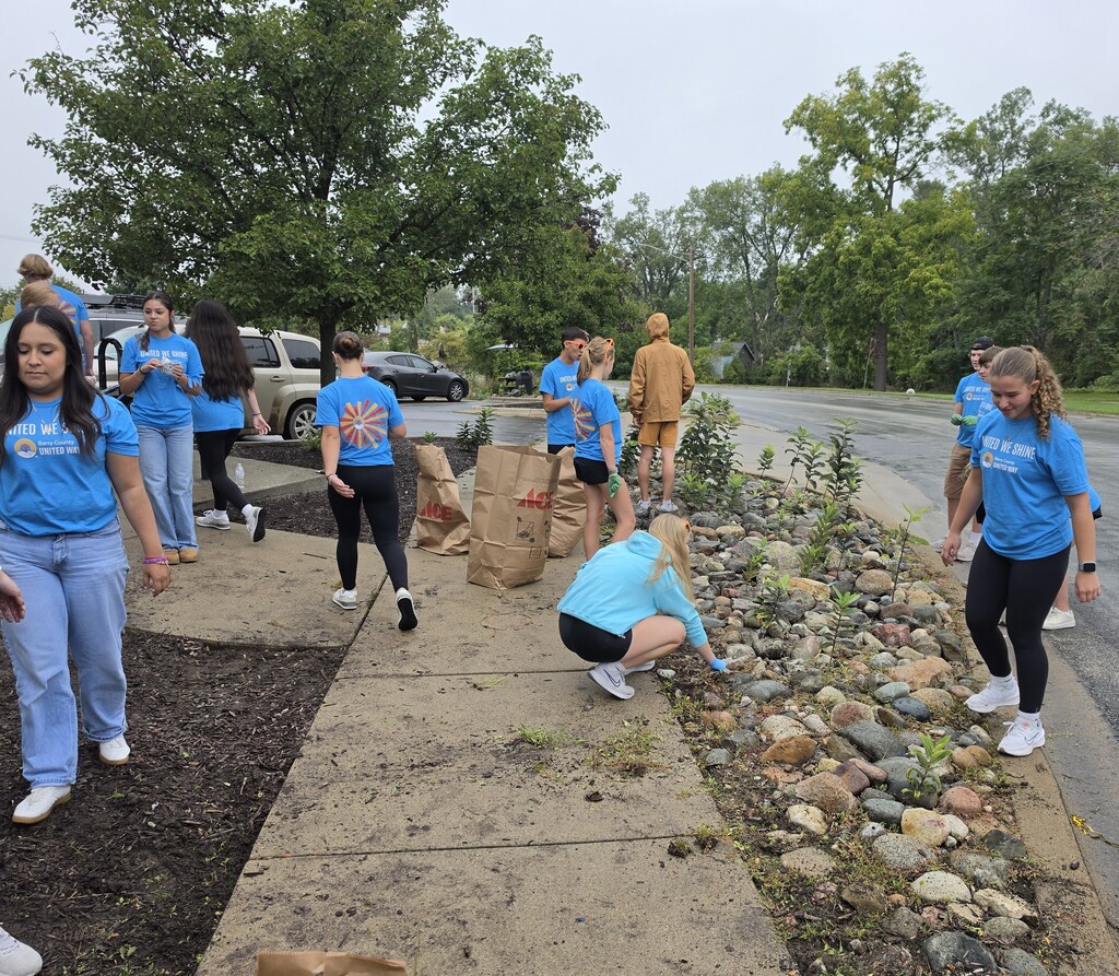 A number of students all in uniform blue shirts work on pulling weeds from a section of landscape rocks.