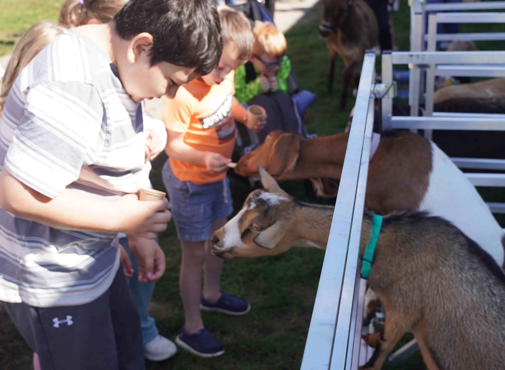 students and parents enjoy a picnic and petting zoo at star elementary school