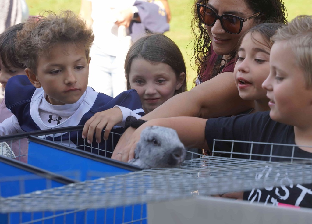 students and parents enjoy a picnic and petting zoo at star elementary school