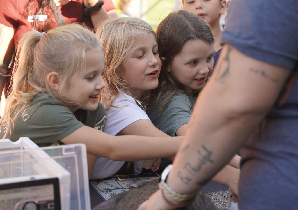 students and parents enjoy a picnic and petting zoo at star elementary school