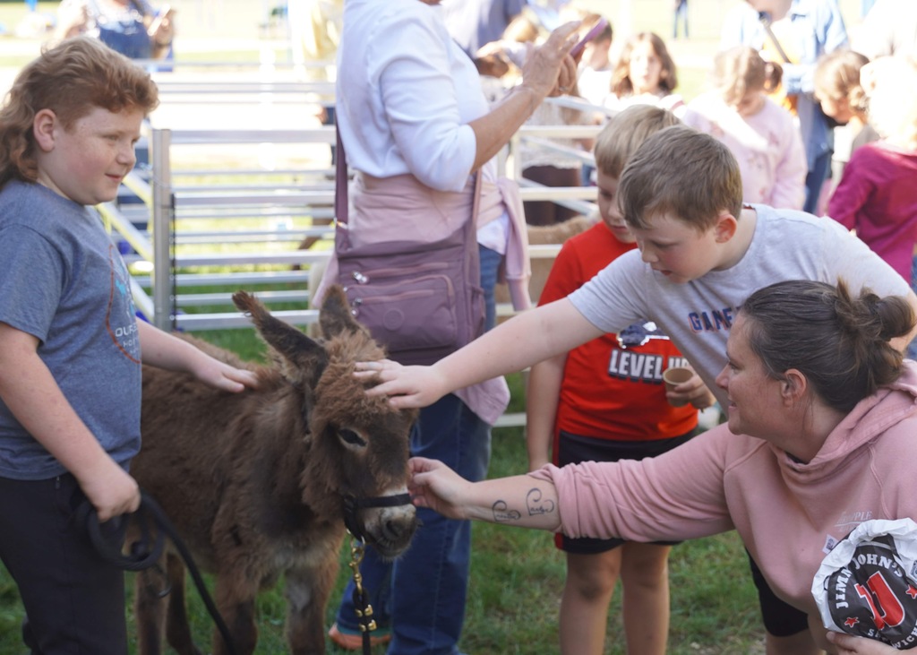 students and parents enjoy a picnic and petting zoo at star elementary school