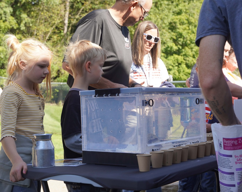 students and parents enjoy a picnic and petting zoo at star elementary school