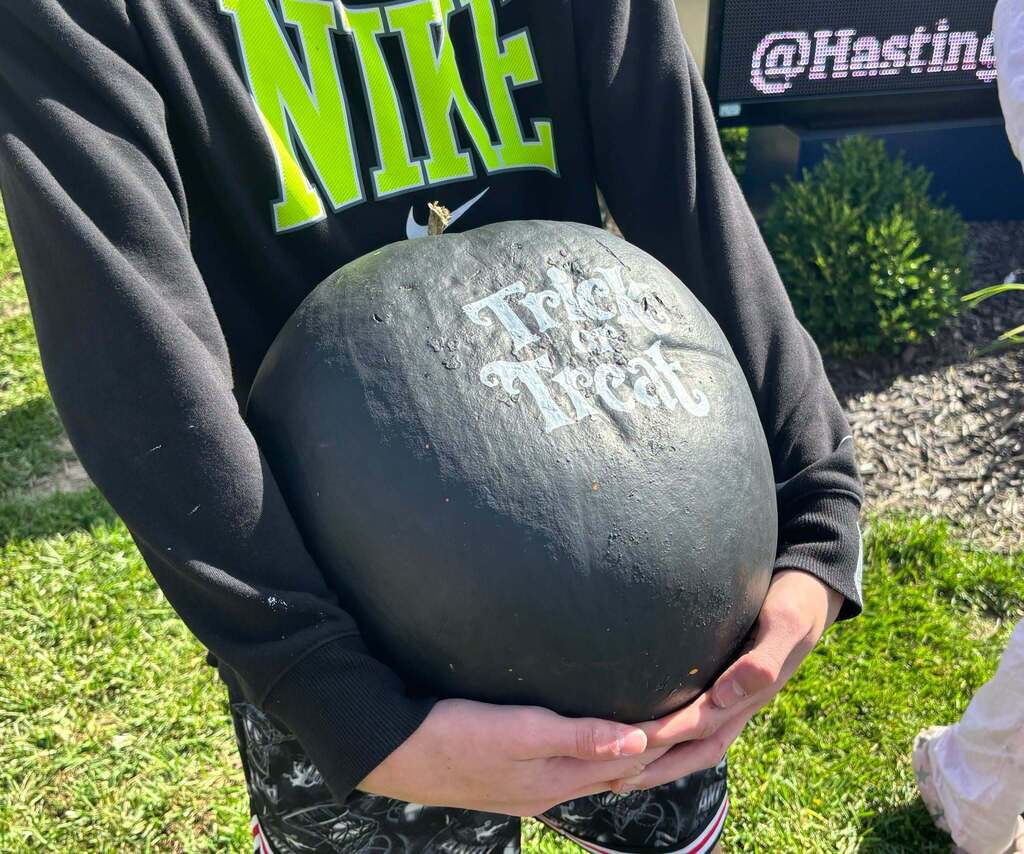 School kids display painted pumpkins