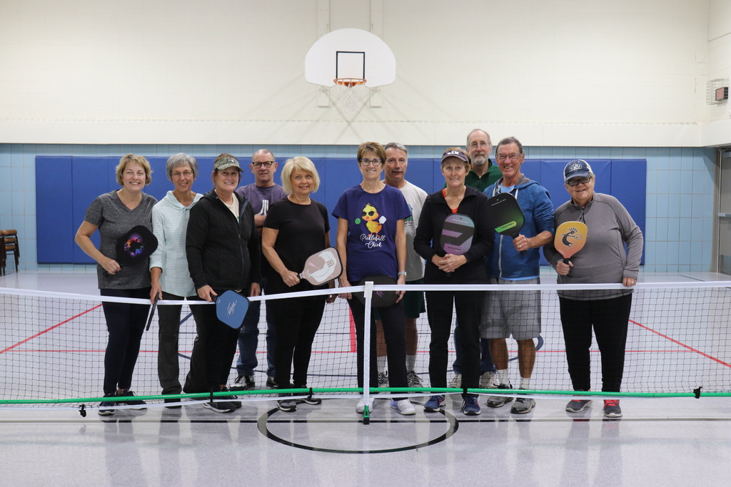 Pickleball lessons