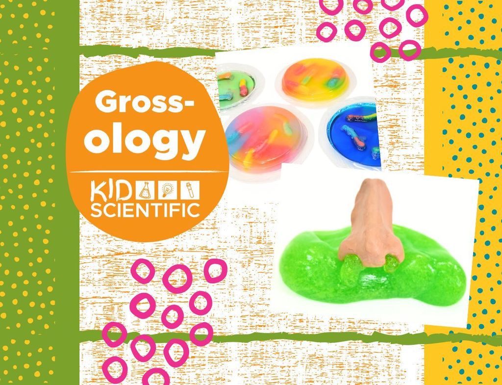 Grossology