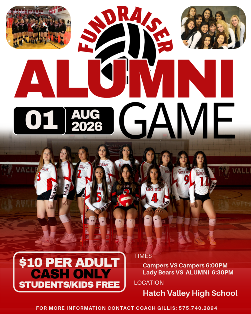 Volleyball game