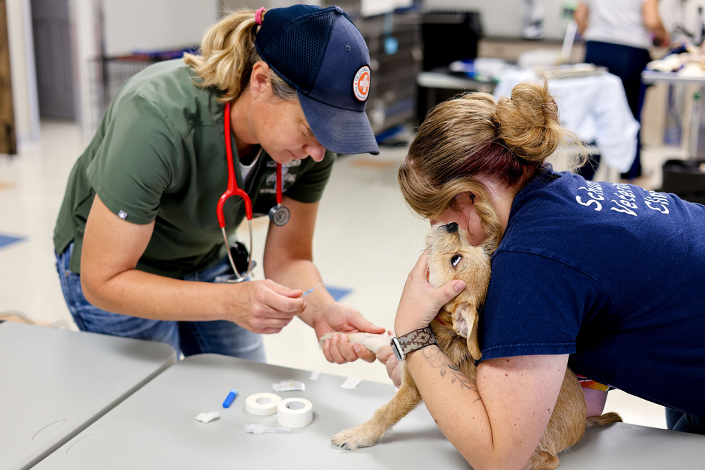 Hatch Valley Vet Clinic