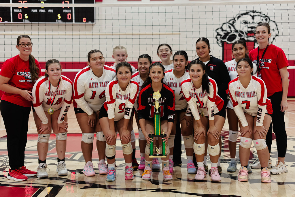 HVHS Volleyball Team