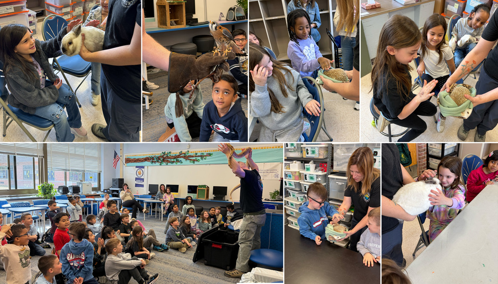 Sweetbriar Nature Center Visit