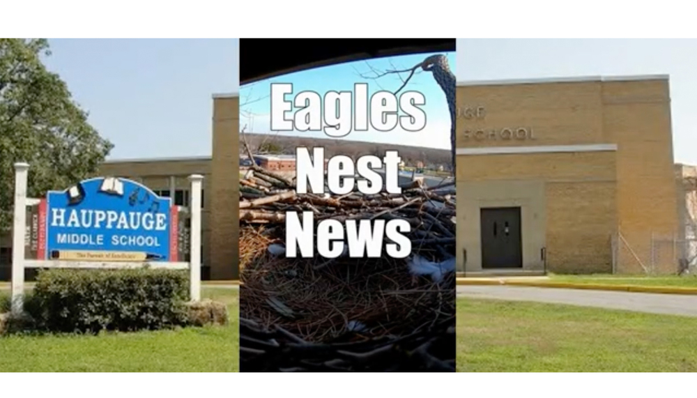 Eagles Nest News