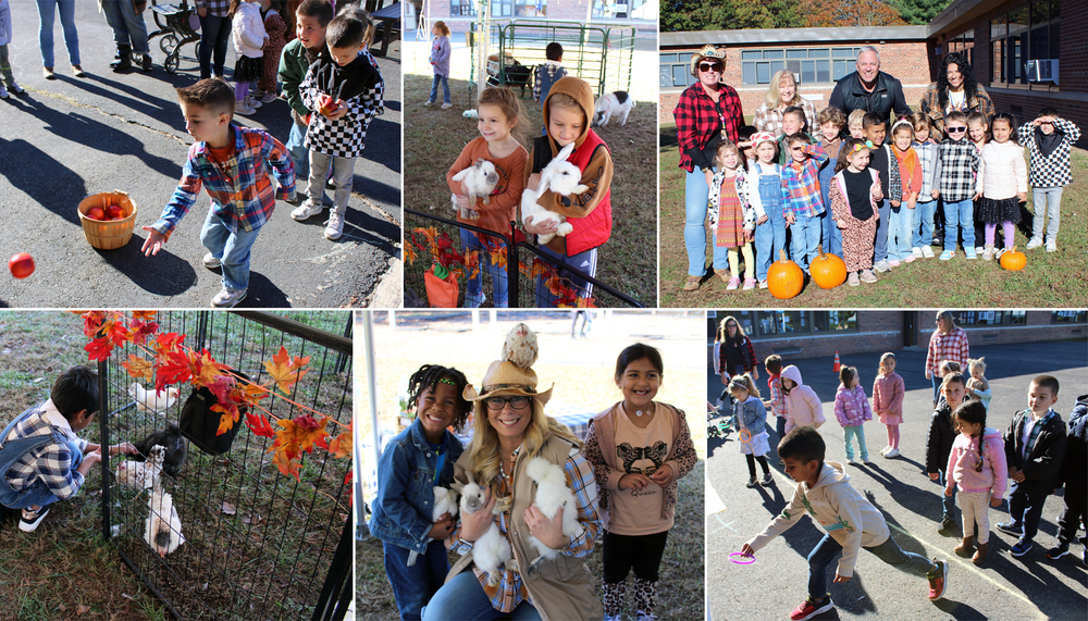 Bretton Woods Harvest