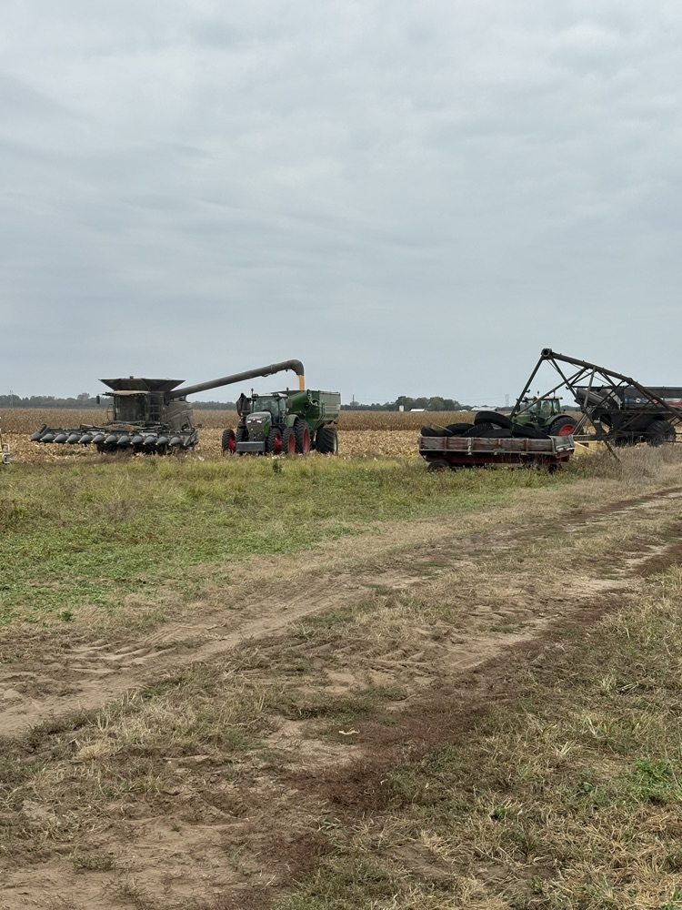field