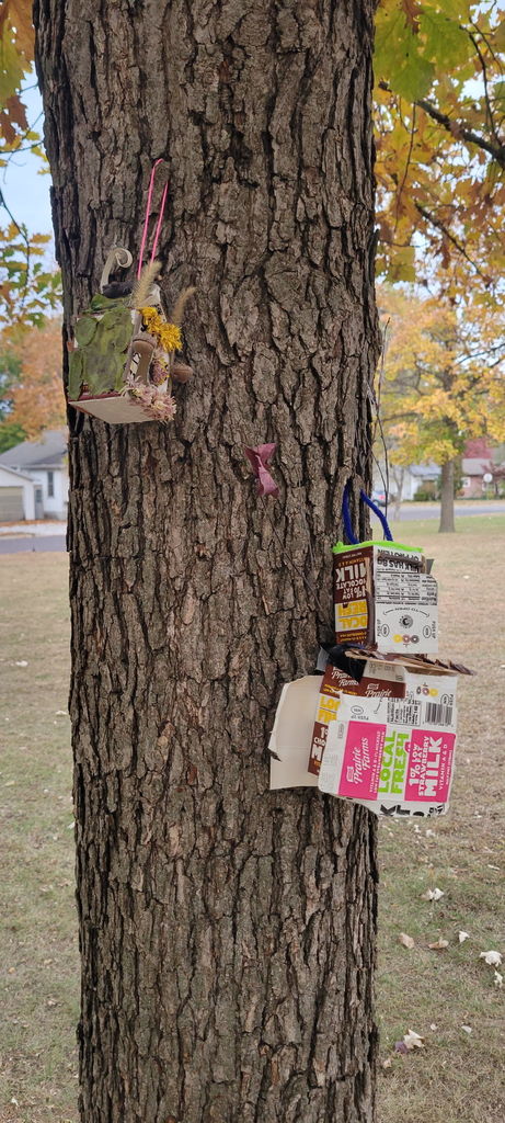 fairy houses