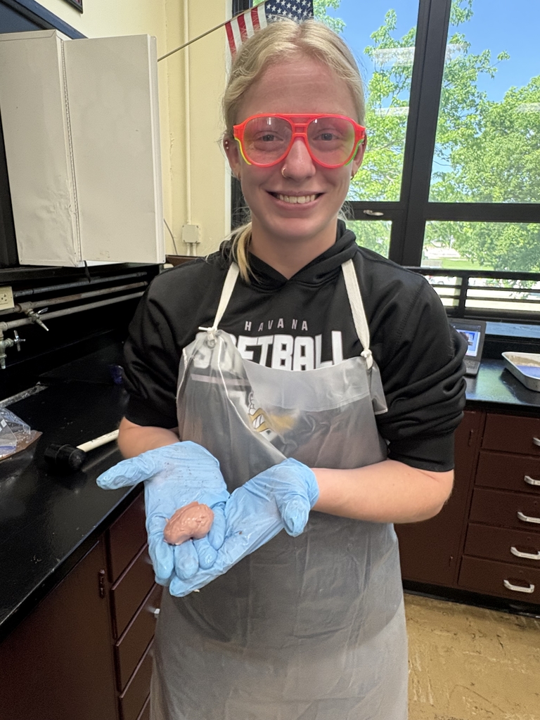 Pig Dissection