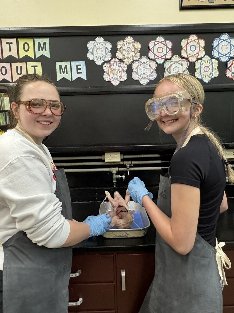 Pig Dissection