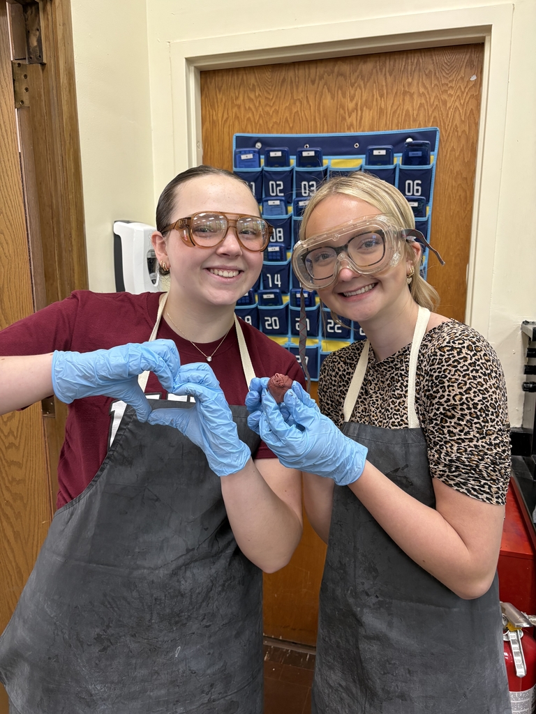 Pig Dissection