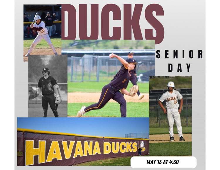 Ducks vs MP