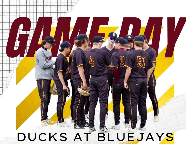 Ducks @ Porta 
