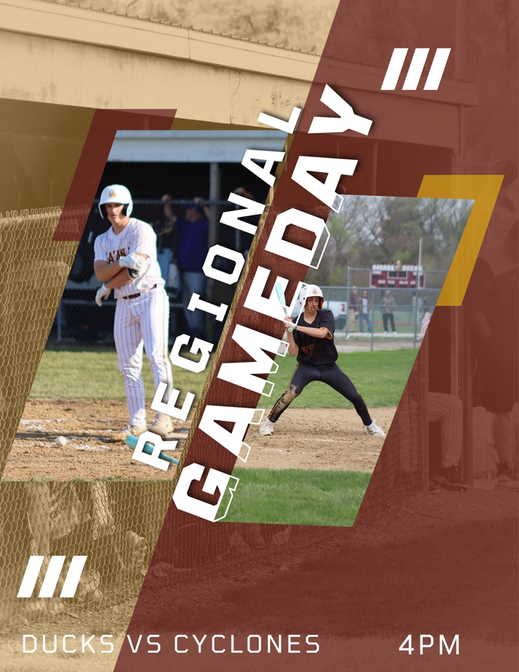 Ducks vs WP