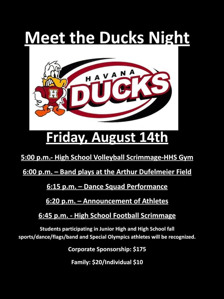 meet the ducks