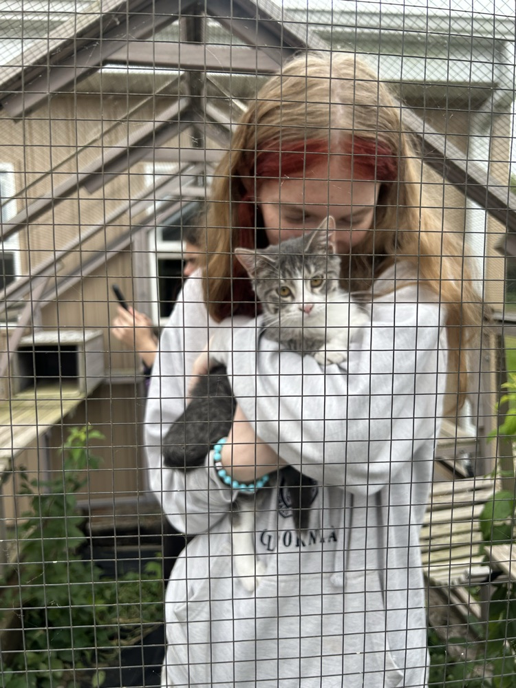 pet