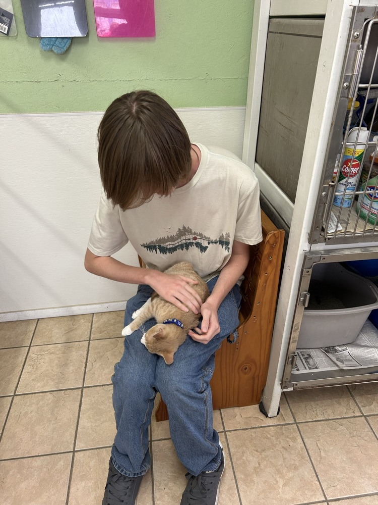 pet